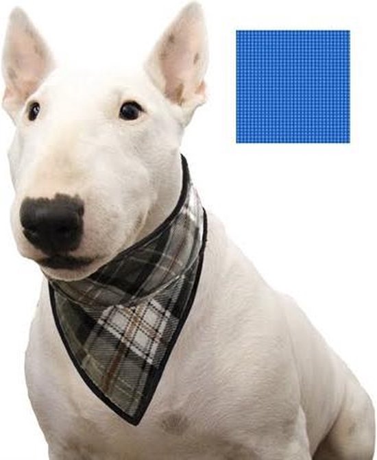 Beaphar Xtravital Care+ - Konijnenvoer - 1.5 kg