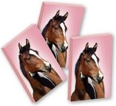 Groot PaardenGum , Roze , Bruin Paard , set van 3