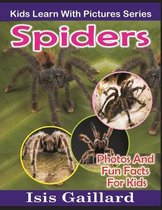 Spiders