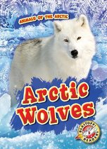 Animals of the Arctic- Arctic Wolves