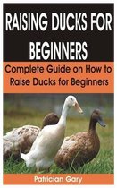 Raising Ducks for Beginners