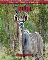 kudu