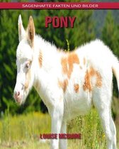 Pony