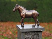Tuinbeeld - bronzen beeld - Boeren paard - Bronzartes - 24 cm hoog