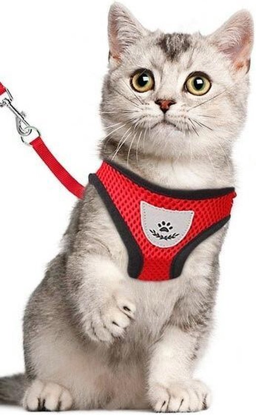 Harnais Pour Chat Harnais Pour Chat Harnais Pour Chat Avec Laisse Harnais Pour Bol Com