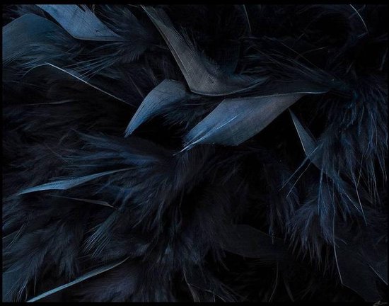 Kristal Helder Galerie kwaliteit Plexiglas 5mm.- Blind Aluminium Ophang-frame- Fotokunst 'Dark Feathers' - luxe wanddecoratie- Akoestisch en UV Werend- inclusief verzending
