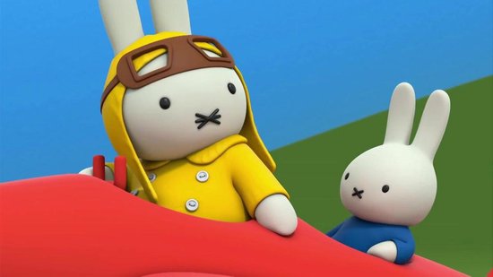 nijntjes avonturen groot en klein - nijntje in de bibliotheek, Dick