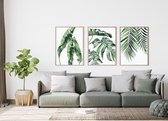 Postercity - Design Canvas Poster Set Botanische - Palmboom Tropische Planten / Planten Poster / Muurdecoratie / 40 x 30cm / A3