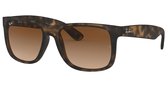 Rayban - RB4165 710/3 55 mm - zonnebril