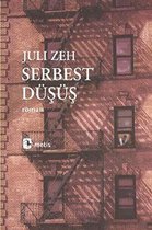 Serbest Düşüş