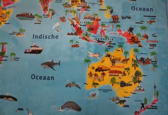 Cartografische illustratie vinyl tapijt wereldkaart