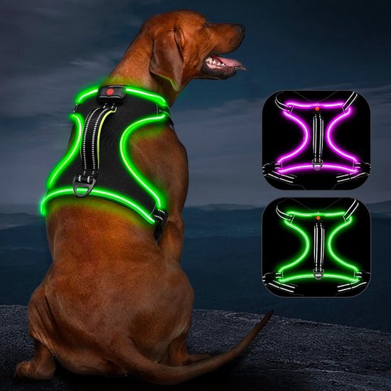 Hondentuig Lichtgevend oplaadbaar lichttuig voor honden LED-verlicht hondentuig voor kleine, middelgrote en grote honden Licht tuig voor honden