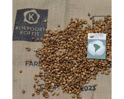 Colombia Excelso DECAF - ongebrande groene koffiebonen - 1 kg