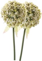 2 x Fleur de tige d'oignon ornemental blanc 70 cm - Fleurs artificielles