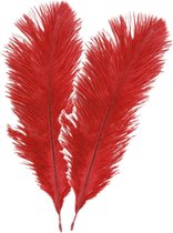 Chaks Struisvogelveren/sierveren - 4x - rood - 30-35 cm - decoratie/hobbymateriaal