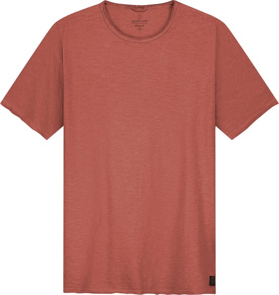 Dstrezzed - Mc Queen T-shirt Melange Rust - Heren - Maat XXL - Modern-fit