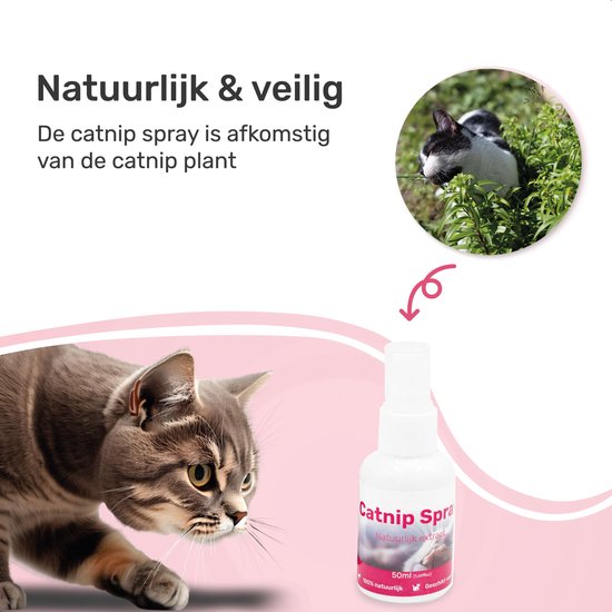 Catnip Spray - 100% natuurlijk - Kattenkruid - Katten - Speelgoed - Speeltjes - Ontspanning - Little Big Bird