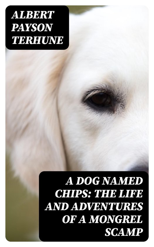 A Dog Named Chips: The Life and Adventures of a Mongrel Scam ... - cover