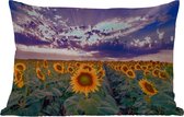 Coussins d'extérieur - Fleurs - Air - Violet - Tournesol - Coucher de soleil - 60x40 cm - Résistant aux intempéries