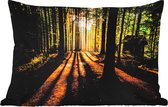 Buitenkussens - Zon - Bomen - Bos - Landschap - Natuur - 60x40 cm - Weerbestendig