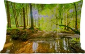 Coussins d'extérieur - Jardin - Forêt - Paysage - Water - Arbres - Soleil - Vert - Nature - 50x30 cm