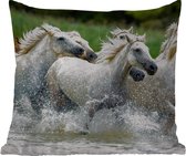 Buitenkussen - Paarden - Water - Natuur - 45x45 cm - Weerbestendig
