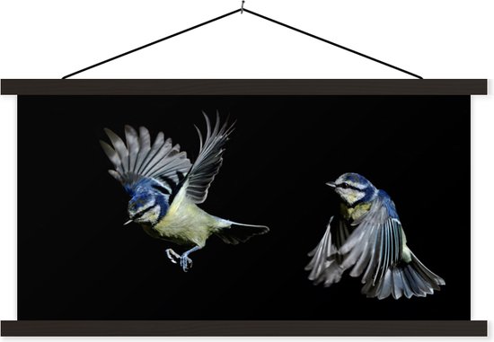 Porte-affiche avec affiche - Affiche scolaire - Vogels - Ressorts - Zwart - 90x45 cm - Lattes noires