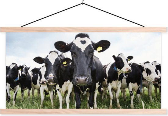 Porte-affiche avec affiche - Affiche scolaire - Vaches - Herbe - Printemps - Animaux - Pâturage - Ferme - 120x60 cm - Lattes vierges