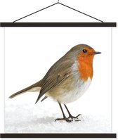 Porte-affiche avec affiche - Affiche scolaire - Robin - Neige - Wit - 90x90 cm - Lattes noires