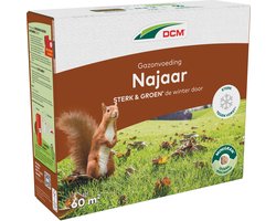 DCM GAZON NAJAAR 3KG