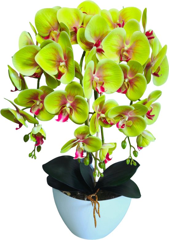 Damich - Kunst Orchidee in Bloempot - groen - gemaakt van rubber - Hoogte +/- 60 cm