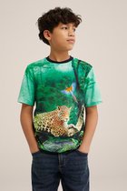 WE Fashion Jongens T-shirt met dessin