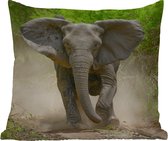 Buitenkussen Weerbestendig - Rennende olifant - 50x50 cm