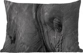 Buitenkussens - Tuin - Olifant - Dieren - Close up - Zwart wit - 50x30 cm