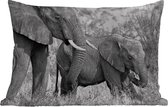 Buitenkussens - Tuin - Baby olifant en haar moeder in Kenia in zwart-wit - 60x40 cm