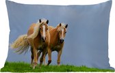 Buitenkussens - Tuin - Twee nieuwsgierige paarden - 50x30 cm