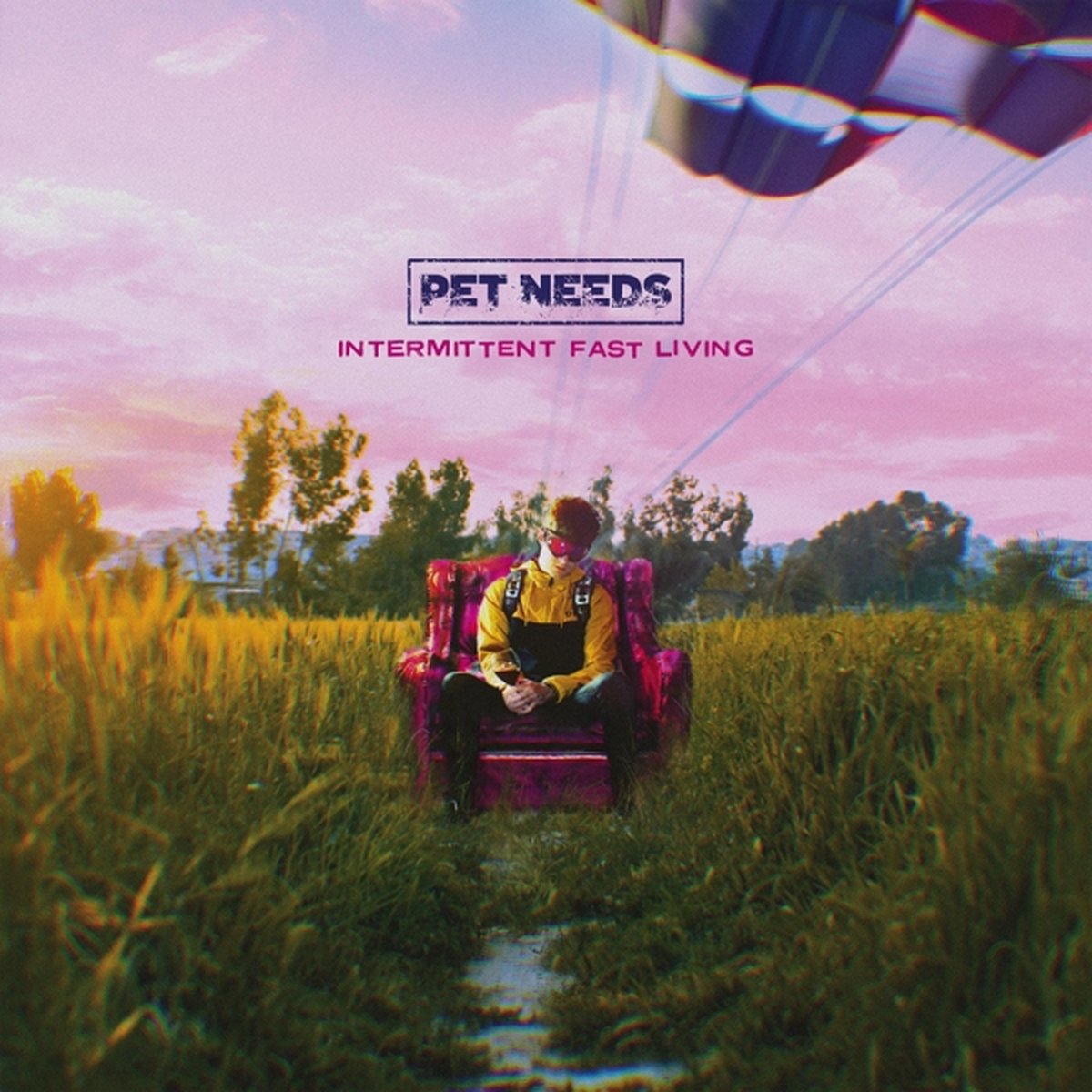 Pet Needs - Intermittent Fast Living (LP)