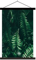 Posterhanger incl. Poster - Schoolplaat - Bladeren - Jungle - Natuur - Tropisch - Planten - 40x60 cm - Zwarte latten