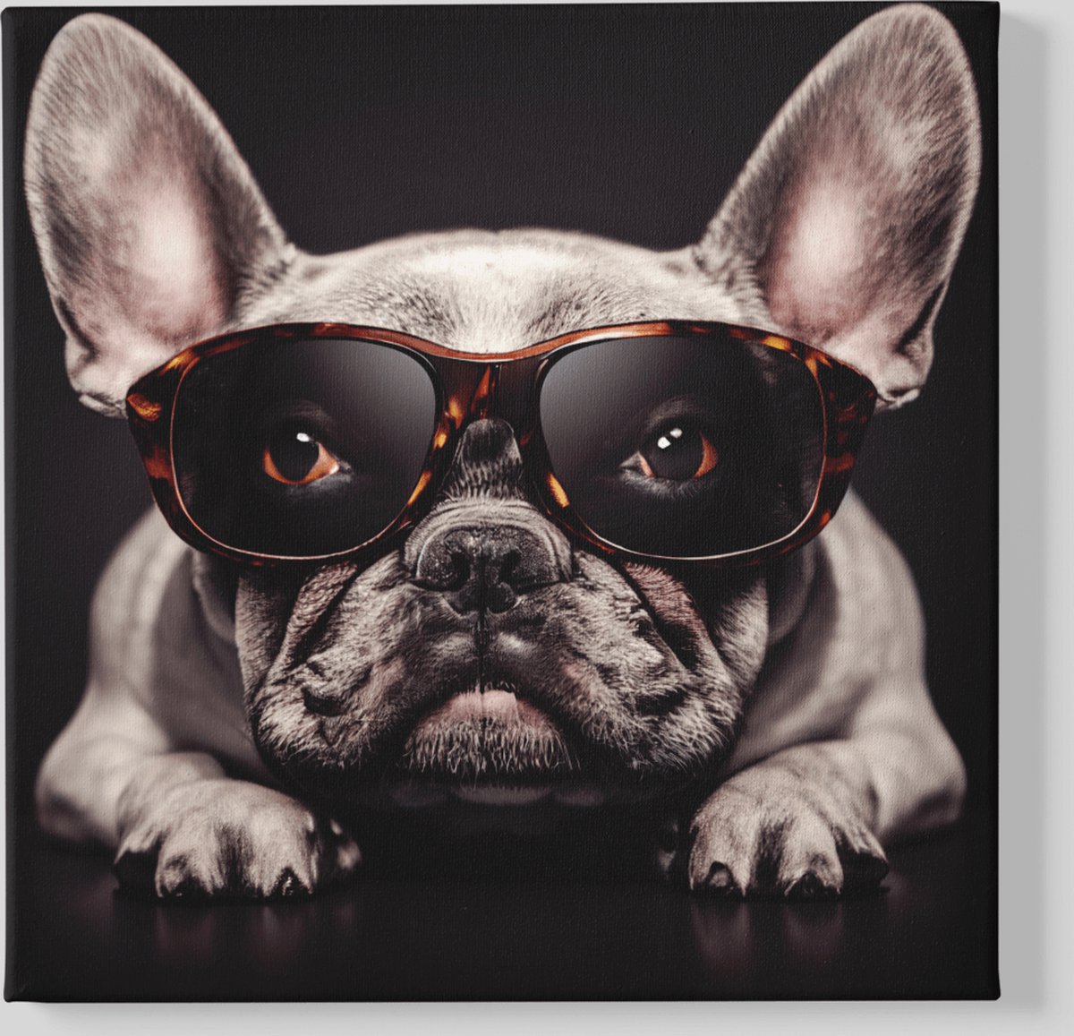 Trendex Global Canvas Schilderij - Dieren - Bulldog Met Bril - Vierkant - 100x100x2 cm Zwart