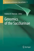 Plant Genetics and Genomics: Crops and Models- Genomics of the Saccharinae