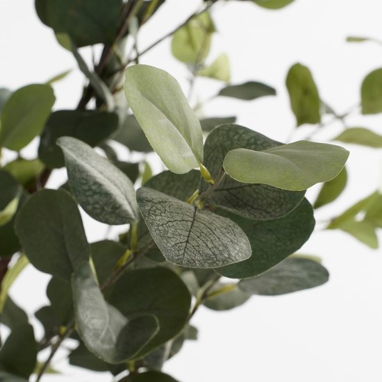 Mica Decorations Plante Artificielle Eucalyptus en Pot - H180 x Ø80 cm - Vert