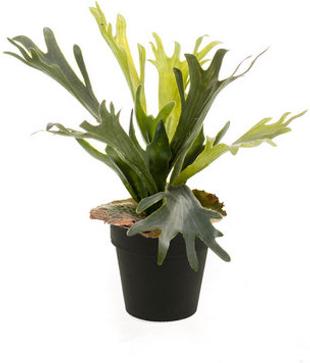 Emerald - Kunstplant in pot Varen Staghorn 36cm - Kunstplant voor binnen