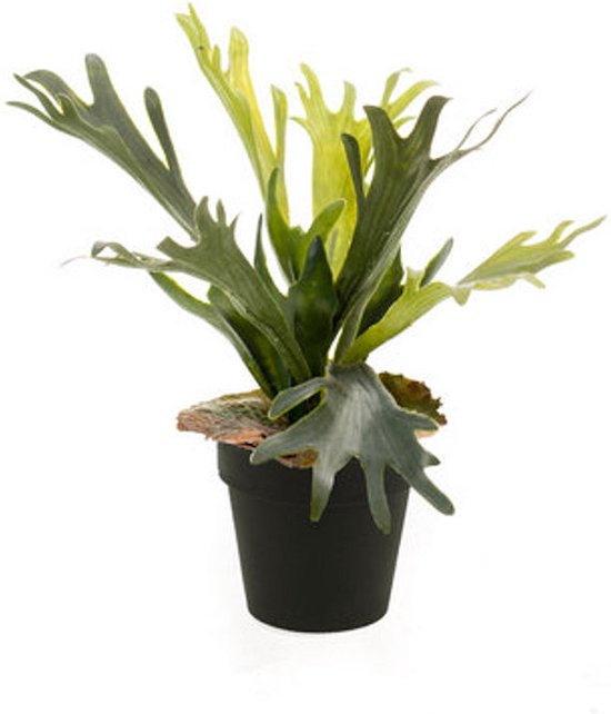 Emerald - Kunstplant in pot Varen Staghorn 36cm - Kunstplanten voor binnen