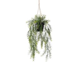 foto van Emerald - Kunst Hangplant in pot Asparagus 50cm - Kunstplant voor binnen