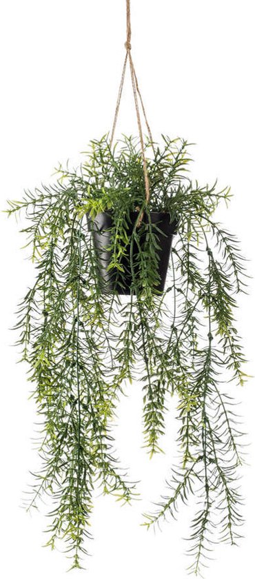 Plantenwand binnen - Jungle Deco - Dé specialist in groene wanden