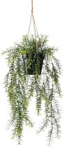 Emerald - Kunst Hangplant in pot Asparagus 50cm - Kunstplant voor binnen
