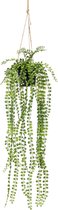 Emerald - Kunst Hangplant in pot Ficus Pumila 60cm - Kunstplanten voor binnen