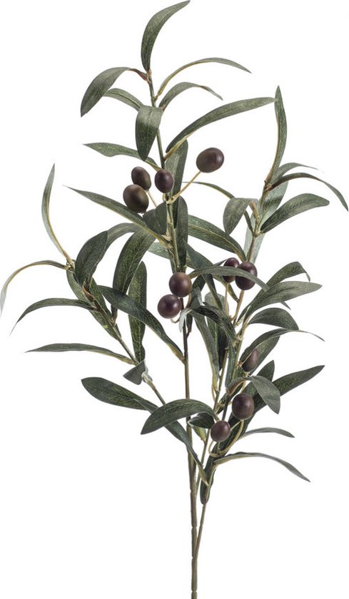 Emerald - Kunsttak Olijf 75cm - Kunstplanten voor binnen
