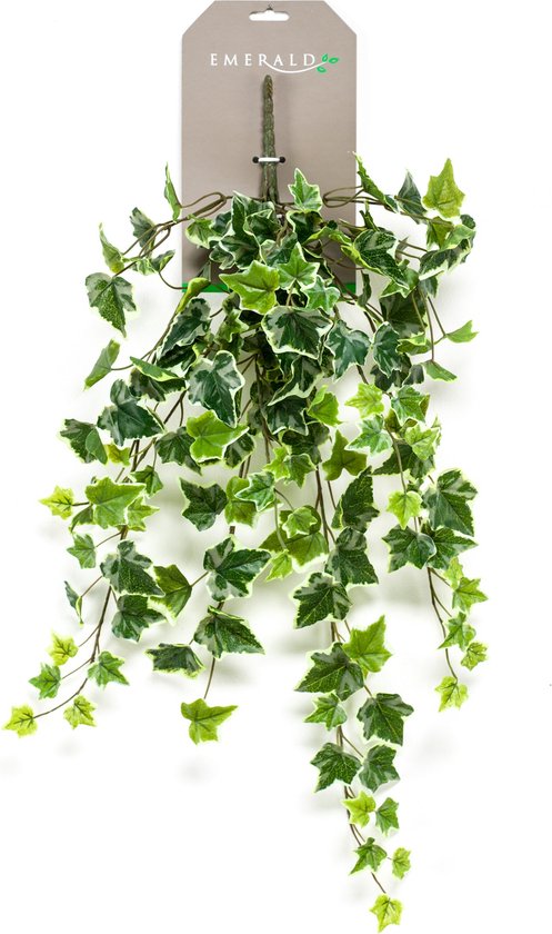Emerald - Kunst Hangplant Ivy groen/wit 70cm - Kunstplant voor binnen
