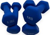 Padisport - Gewichten Set - Dumbells - Dumbells Set - 0,5 En 1 Kg - Blauw - Gewichten 0,5 Kg - Halterset - Gewichten 1 Kg - Halter - Halters & Gewichten
